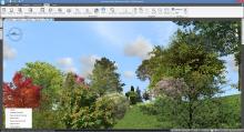 visualization of trees